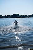 34. Aasee Triathlon - Mitteldistanz