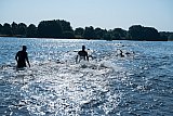 34. Aasee Triathlon - Mitteldistanz
