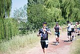 34. Aasee Triathlon - Mitteldistanz