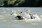 Kurztriathlon - Schwimmen