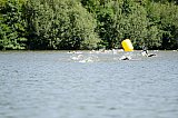 Kurztriathlon - Schwimmen