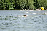 Kurztriathlon - Schwimmen