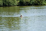 Kurztriathlon - Schwimmen