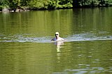 Kurztriathlon - Schwimmen