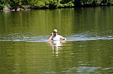 Kurztriathlon - Schwimmen