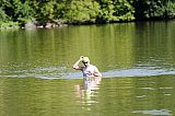 Kurztriathlon - Schwimmen